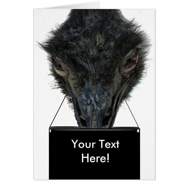 Card Emu Purse ZIZZAGO (Frente)