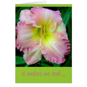 CARD, "Me entristece", flor, (fotografía) con rai
