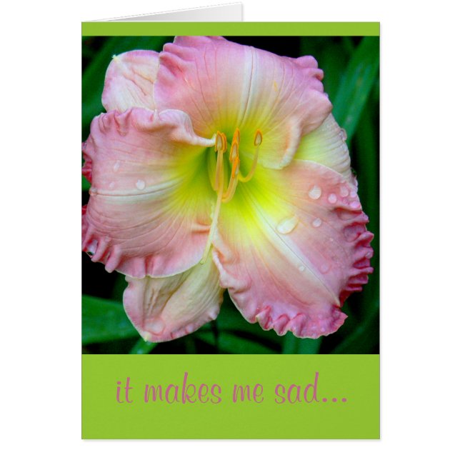 CARD, "Me entristece", flor, (fotografía) con rai (Frente)