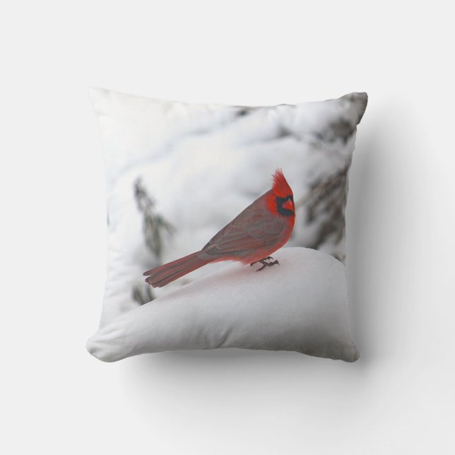 Cardenal 6241 almohada (Anverso)
