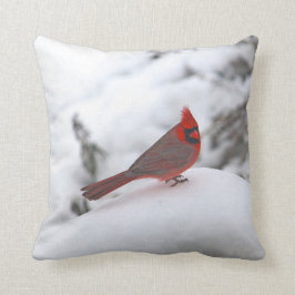 Cardenal 6241 almohada
