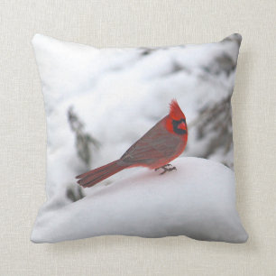 Cardenal 6241 almohada