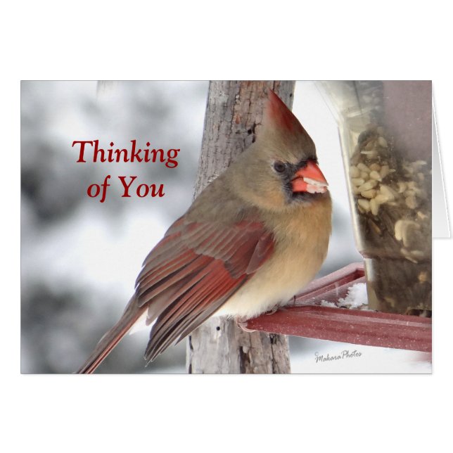 Cardenal 6649 TofY - personalizar (Anverso (Horizontal))