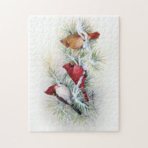 Cardenal albino visita rompecabezas