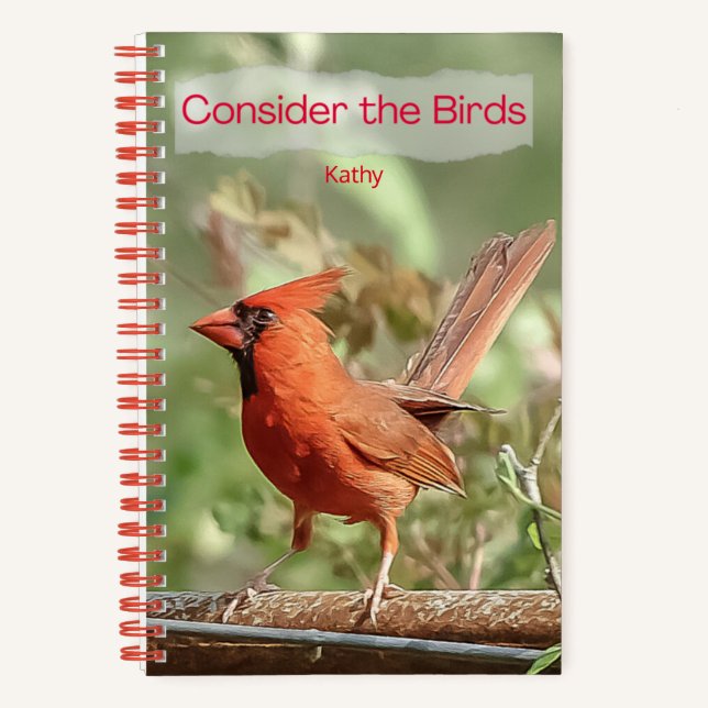 Cardenal de cuaderno de espiral para el diario y n (Anverso)
