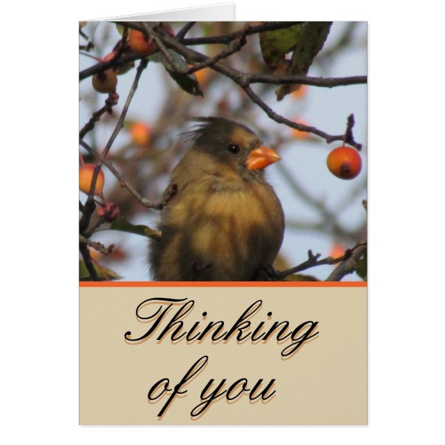 Cardenal de otoño (Frente)
