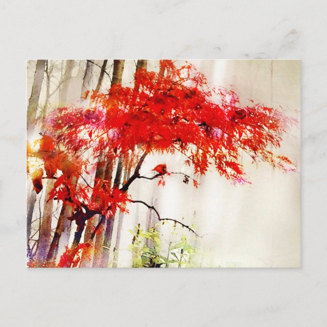 Cardenal de otoño, arce rojo japonés, postal (Anverso)