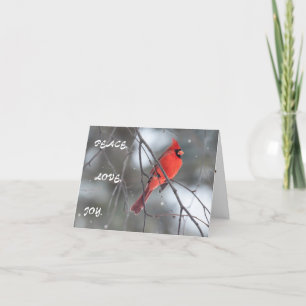Cardenal de tarjetas de felicitación navideña para