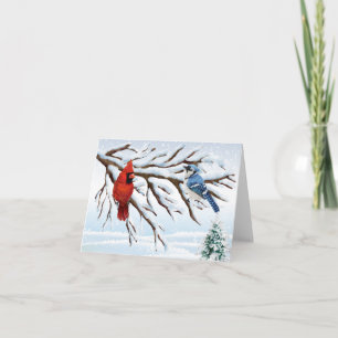 Cardenal del invierno y tarjeta de nota rojos del