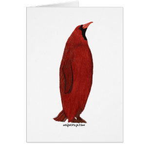 Cardenal del pingüino (varón)