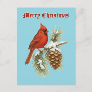 Cardenal en árbol de pino nevado Navidad
