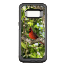 Cardenal en el árbol