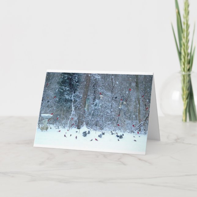 Cardenal en la tarjeta de felicitación de la nieve (Anverso)