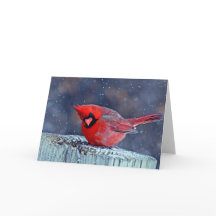 Cardenal en las tarjetas de saludo de Nieve