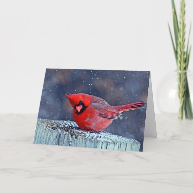 Cardenal en las tarjetas de saludo de Nieve (Anverso)