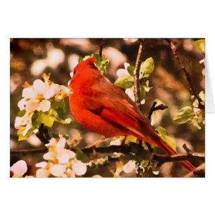 Cardenal en los flores de Apple