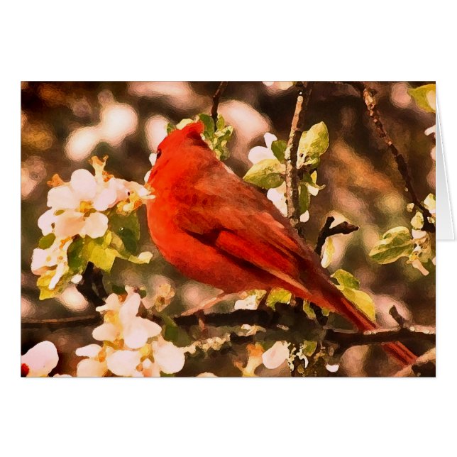 Cardenal en los flores de Apple (Anverso (Horizontal))