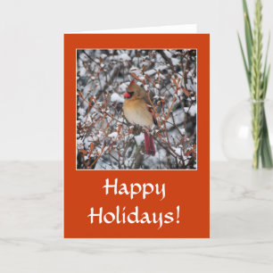 Cardenal en Navidades de nieve tarjetas de saludo