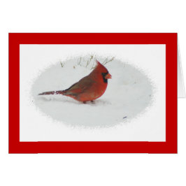 Cardenal en nieve