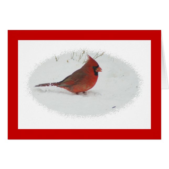 Cardenal en nieve (Anverso (Horizontal))