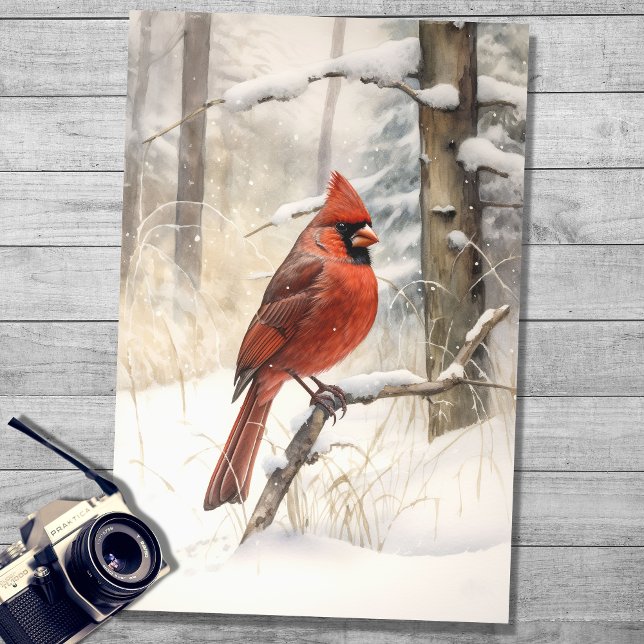 Cardenal en papel de niebla 3 (Subido por el creador)