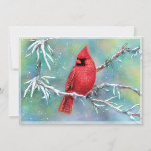 Cardenal en rama nevada presupuesto Navidad