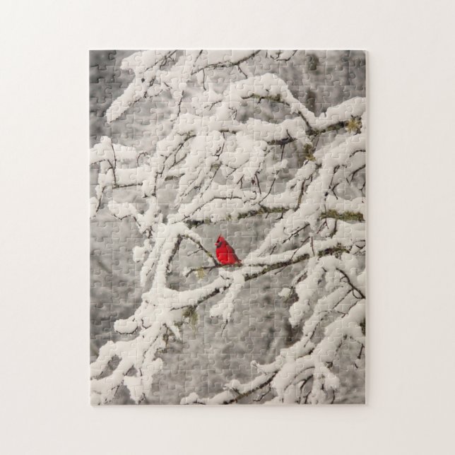 Cardenal en rompecabezas de la nieve (Vertical)