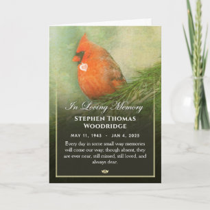 Cardenal en Spruce 5x7 Tarjeta de simpatía