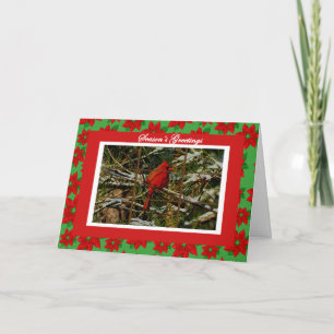Cardenal en tarjeta de Navidad nevada de la rama