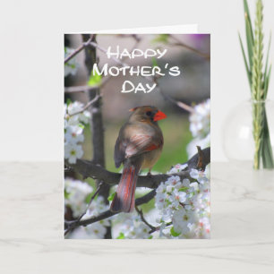 Cardenal feliz tarjeta del día de la madre