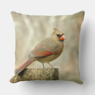 Cardenal (hembra) sobre el almohada posterior