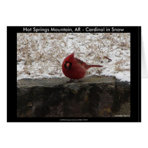 Cardenal Hot Springs Nat. Aparato de regalos de Pa