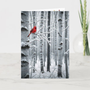 Cardenal navidad en un bosque de árboles de aves