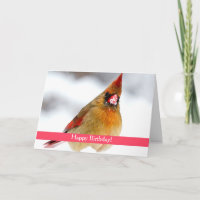 Cardenal Personalizado de sexo femenino tarjeta de