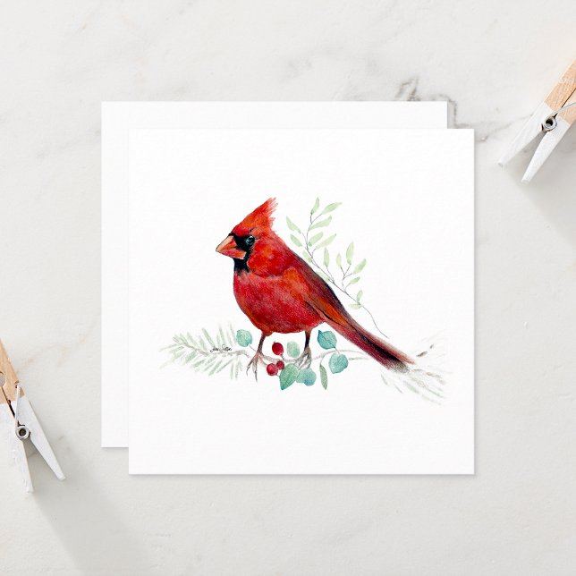 Cardenal rojo Bird Watercolor (Red Cardinal Watercolor Colored Pencil Blank Square Note Cards from Jenn Steffen Art)