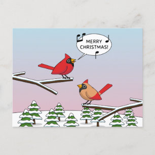 Cardenal rojo curado canta Feliz Navidad