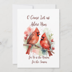 Cardenal Rojo de Navidad Jesús Razón de la Tempora