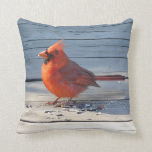 Cardenal rojo en el Cojín decorativo de madera