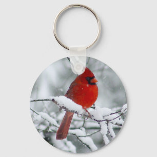 Cardenal rojo en el llavero de la nieve