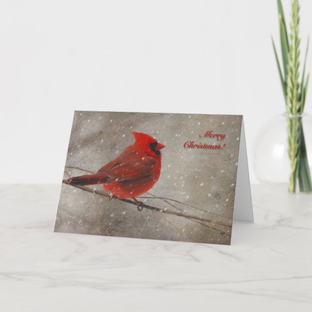 Cardenal rojo en la nieve - tarjeta de Navidad (Anverso)