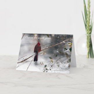 Cardenal rojo en tarjeta de Navidad de la FOTO de