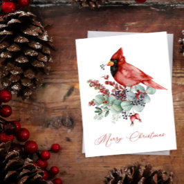 Cardenal rojo, eucalipto, Navidades verdes
