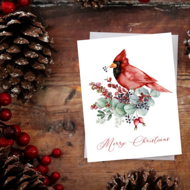 Cardenal rojo, eucalipto, Navidades verdes (Subido por el creador)