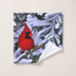 Cardenal rojo invernal
