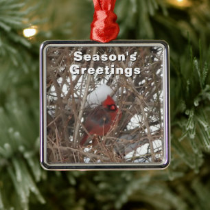 Cardenal rojo masculino en ornamento invernal