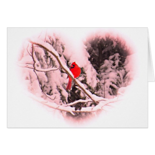 Cardenal Sangria Snow (Anverso (Horizontal))