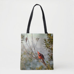 Cardenal septentrional en la bolsa de asas de