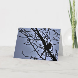 Cardenal Silhouette, tarjeta