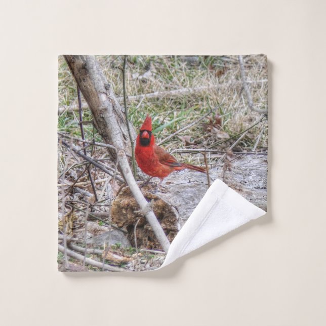 Cardenal Vibrante (Toallita)