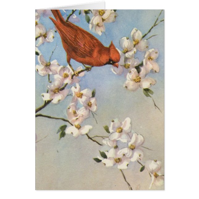 Cardenal vintage (Frente)